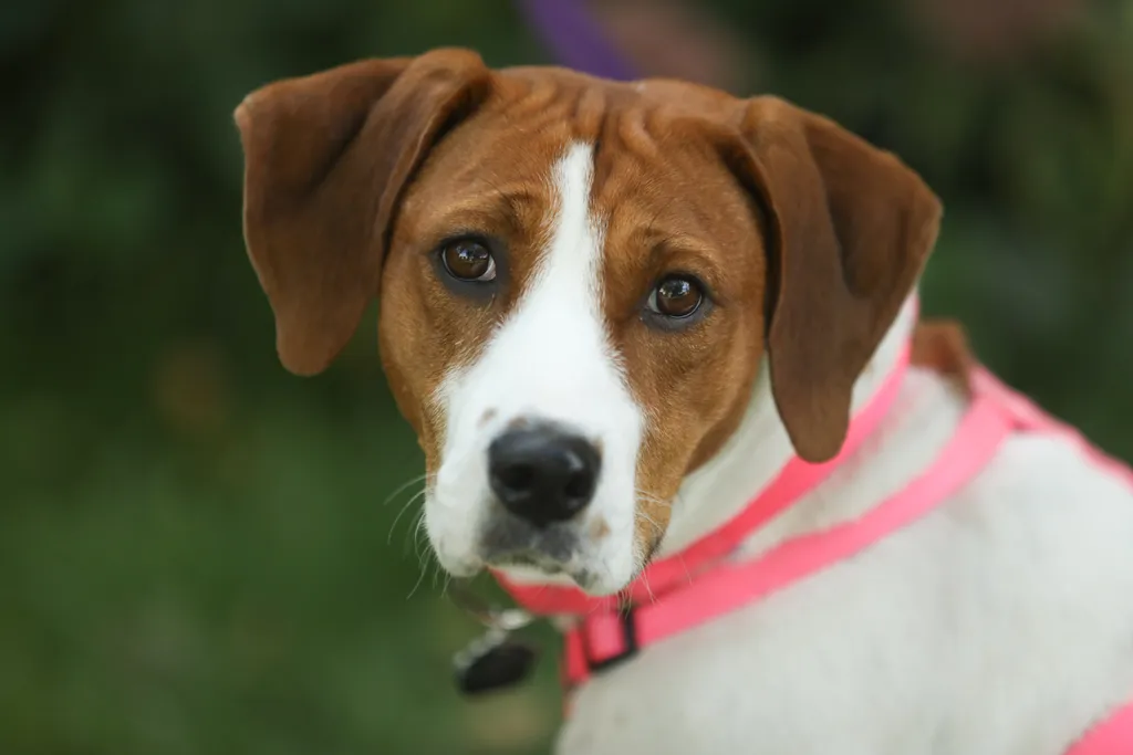 Rescue Photography in 2020, photo 73 of 89