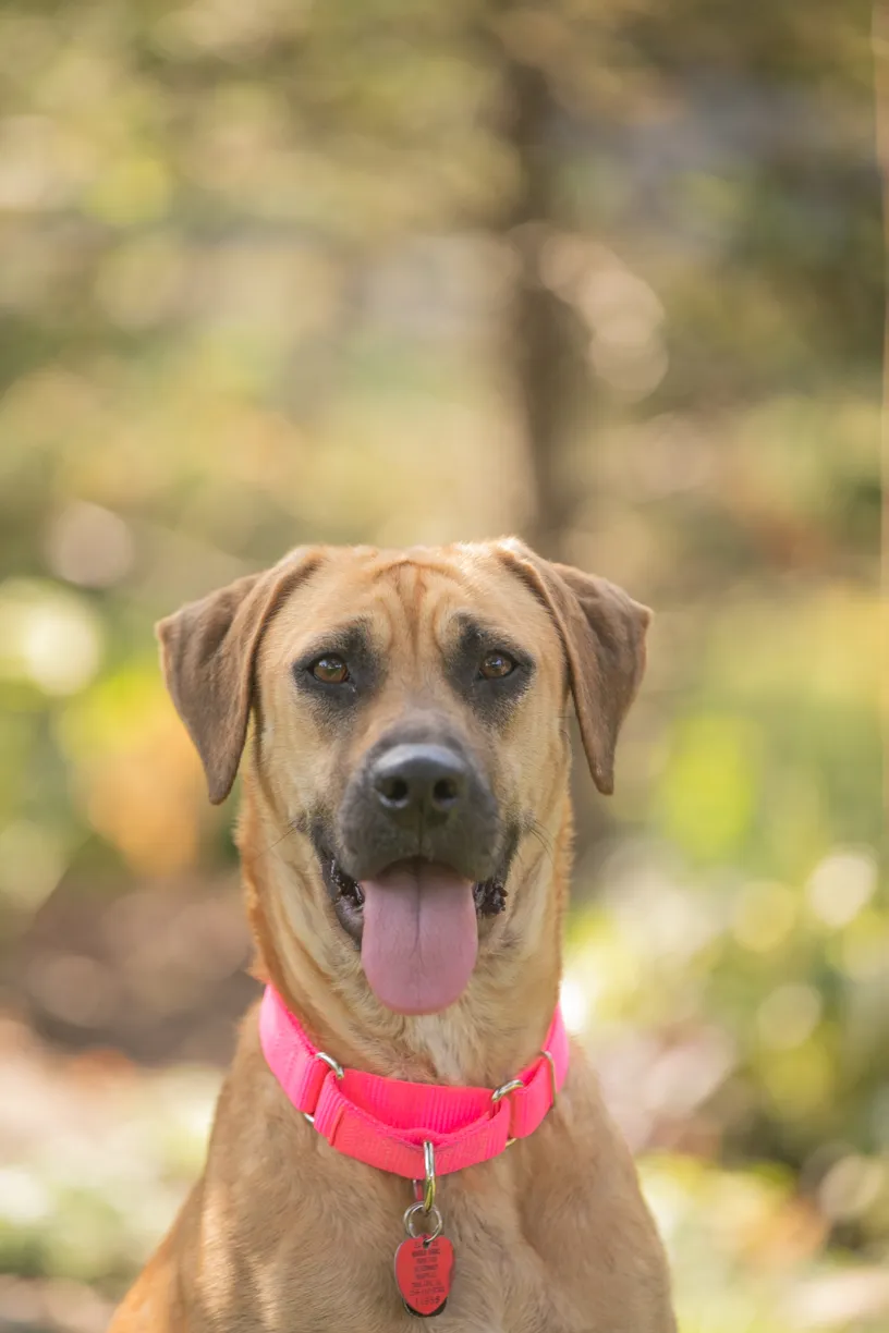 Rescue Photography in 2020, photo 79 of 89