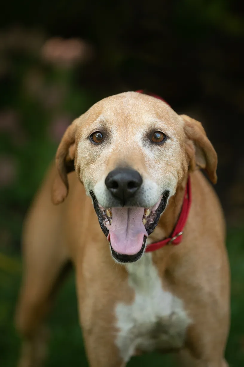 Rescue Photography in 2020, photo 59 of 89