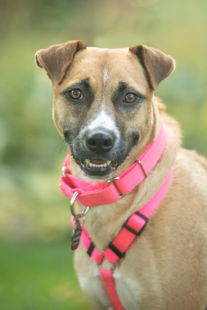 Rescue Photography in 2020, photo 60 of 89