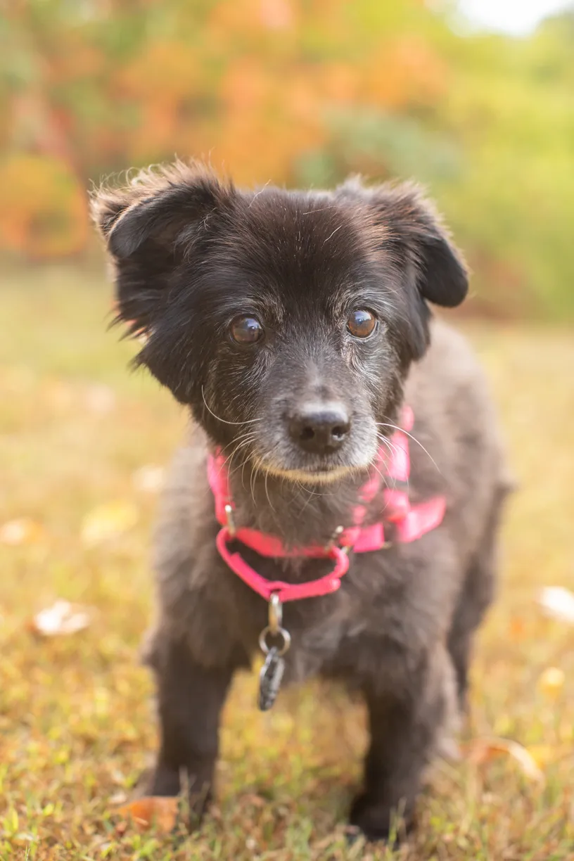 Rescue Photography in 2020, photo 69 of 89
