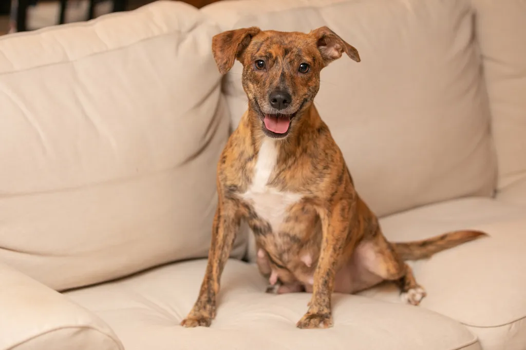 Rescue Photography in 2020, photo 5 of 89