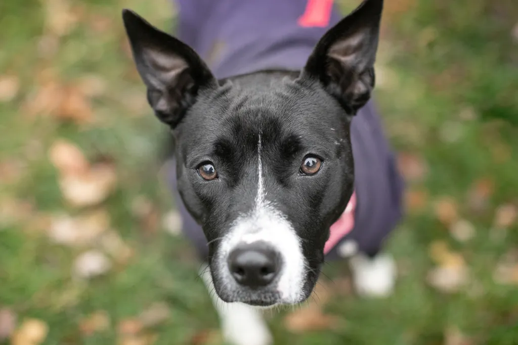 Rescue Photography in 2020, photo 74 of 89