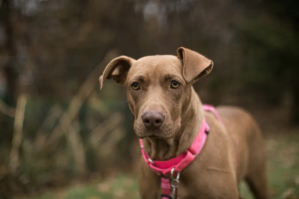 Rescue Photography in 2020, photo 75 of 89