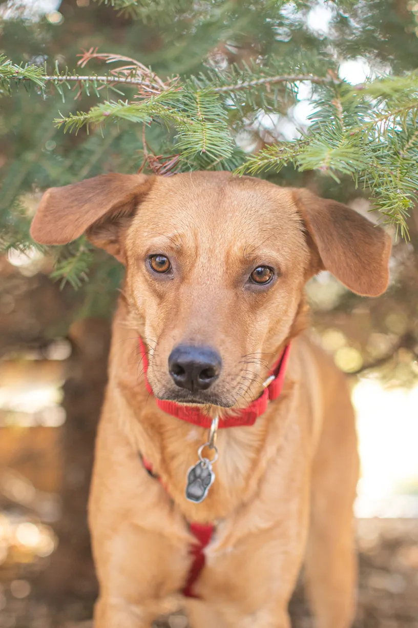 Rescue Photography in 2020, photo 80 of 89