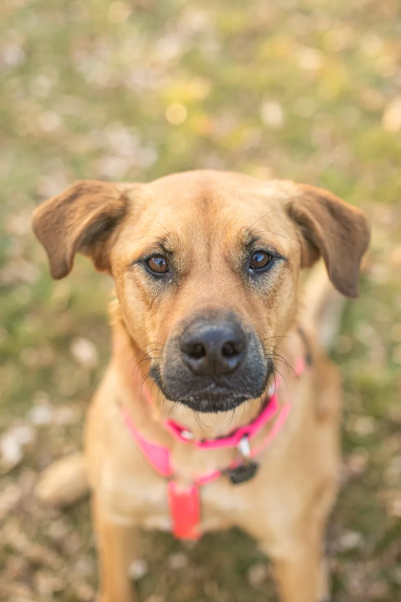 Rescue Photography in 2020, photo 81 of 89