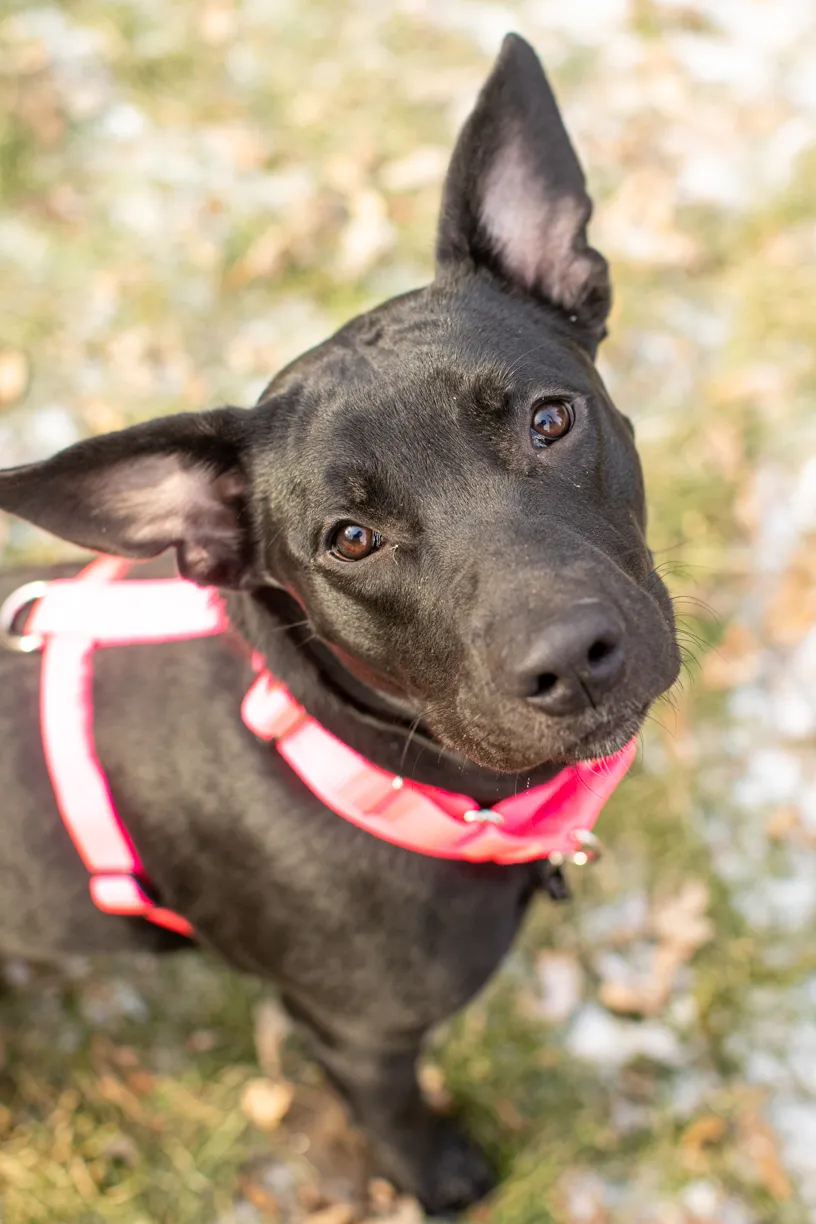 Rescue Photography in 2020, photo 82 of 89