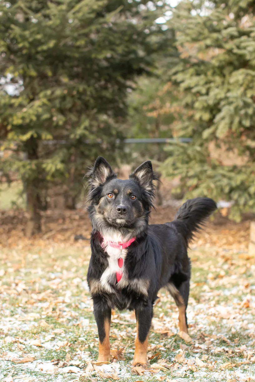 Rescue Photography in 2020, photo 83 of 89