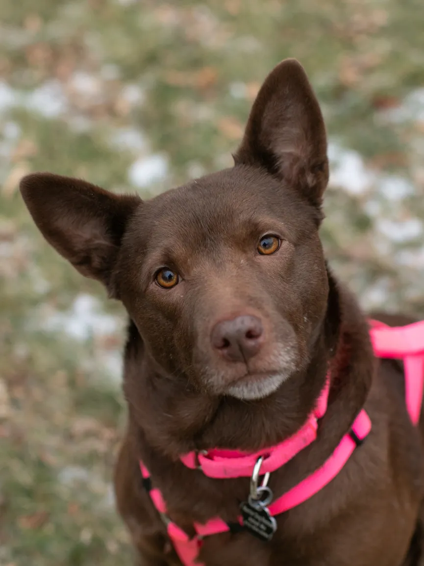 Rescue Photography in 2020, photo 85 of 89