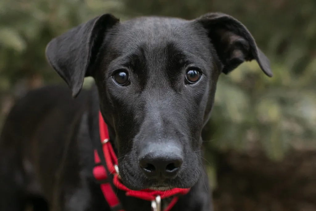 Rescue Photography in 2020, photo 89 of 89