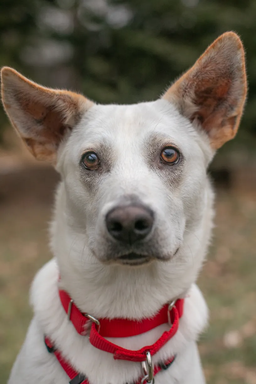 Rescue Photography in 2020, photo 84 of 89