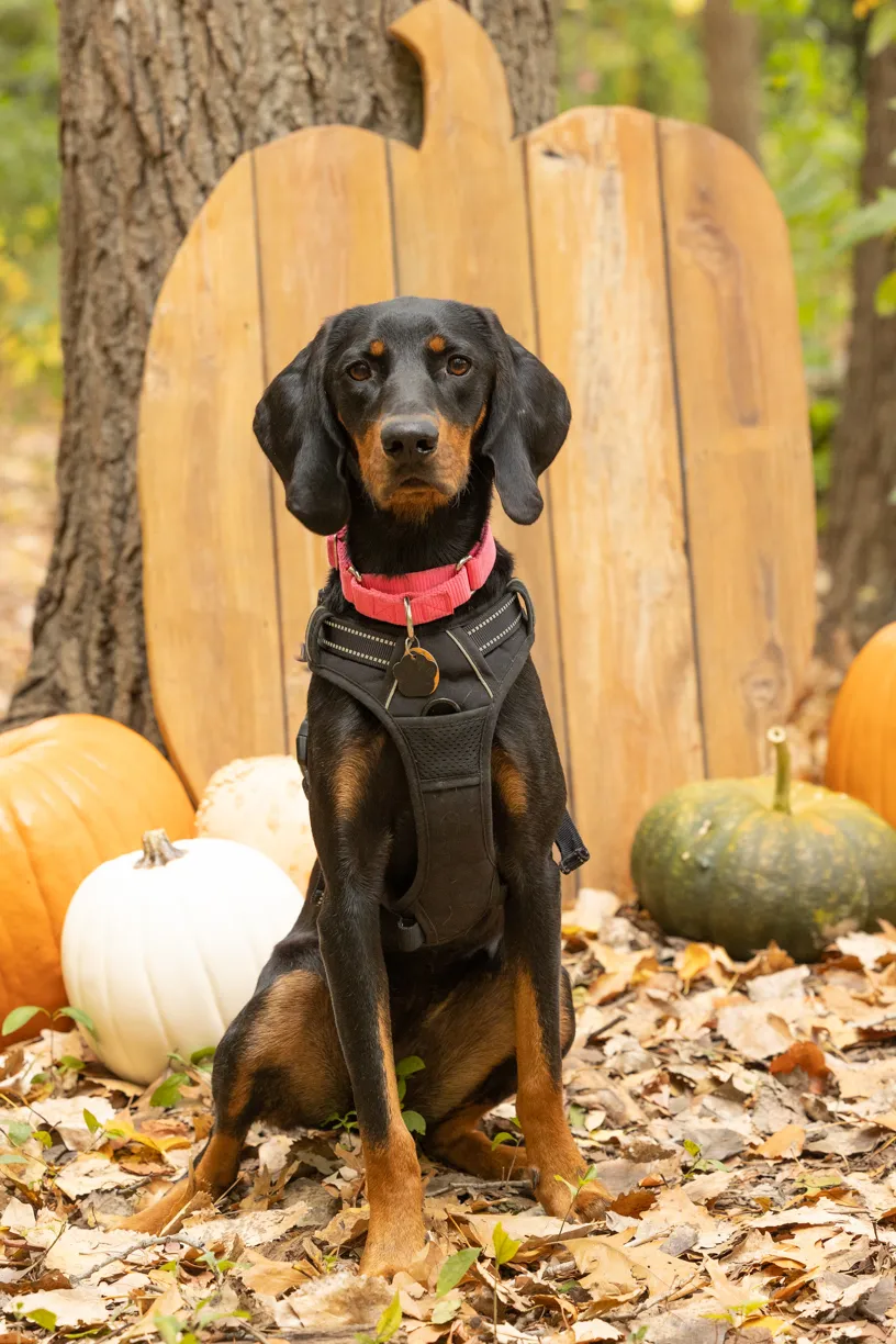 Rescue Photography 2022, photo 99 of 118