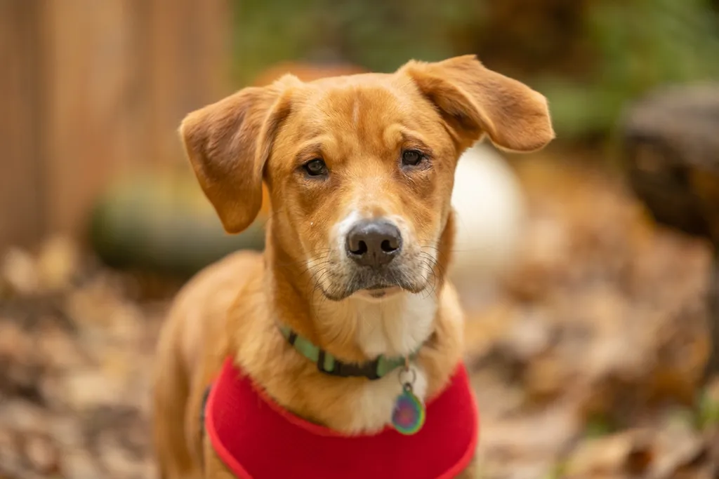 Rescue Photography 2022, photo 100 of 118