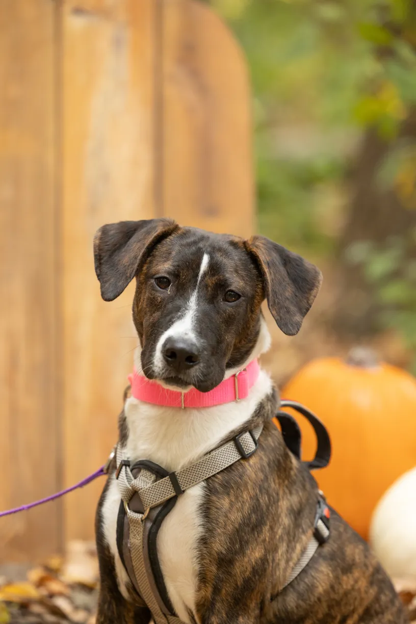 Rescue Photography 2022, photo 103 of 118