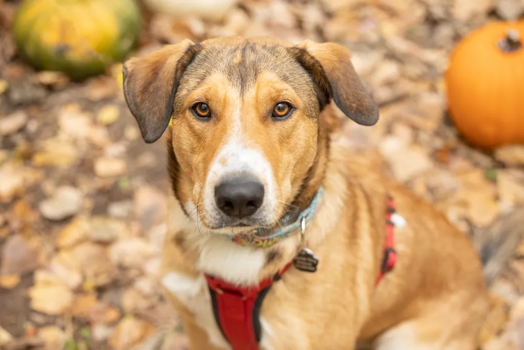 Rescue Photography 2022, photo 104 of 118