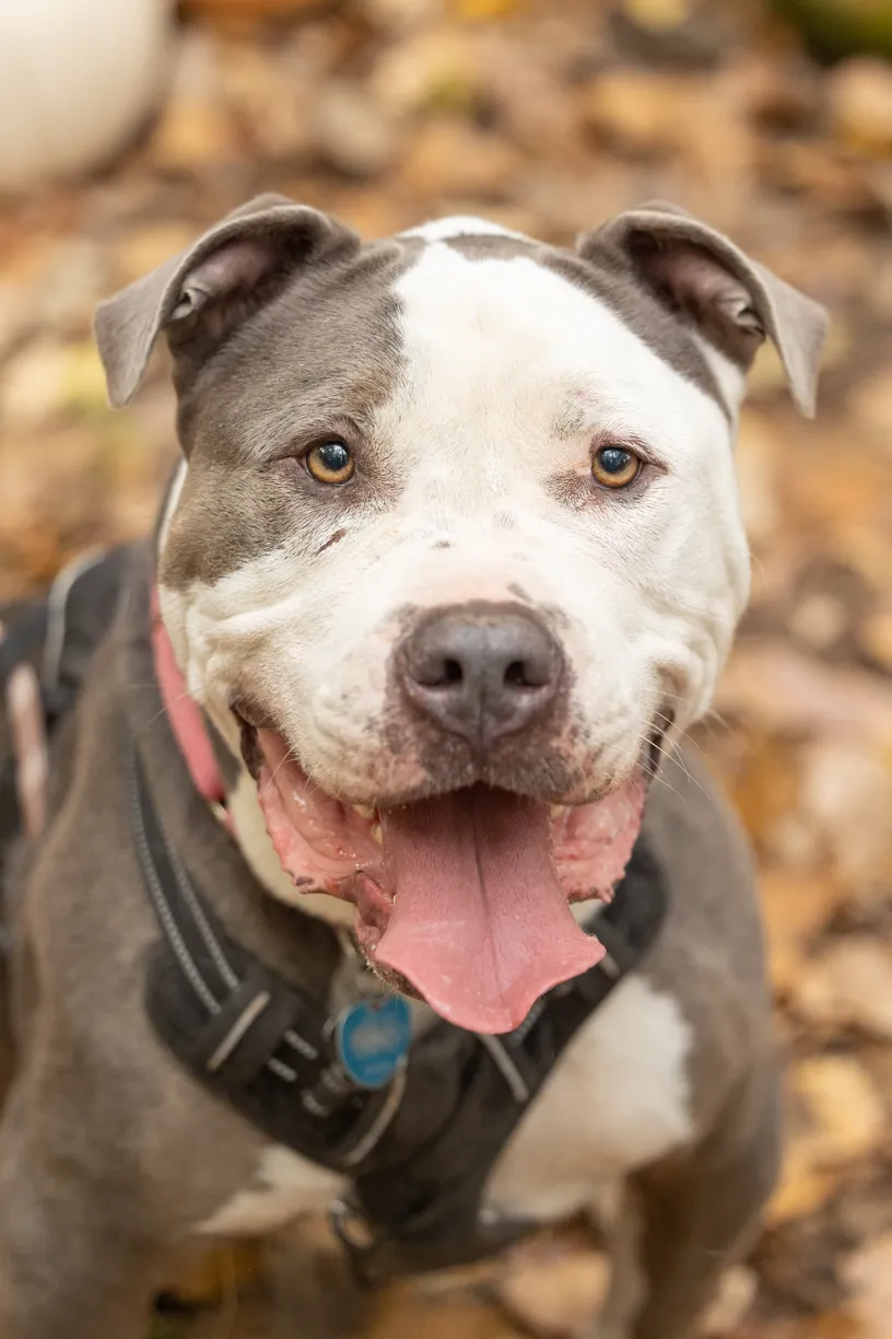 Rescue Photography 2022, photo 107 of 118
