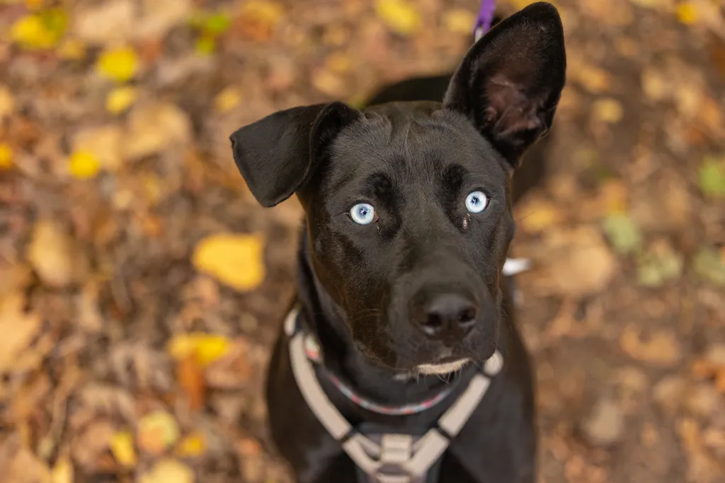 Rescue Photography 2022, photo 111 of 118
