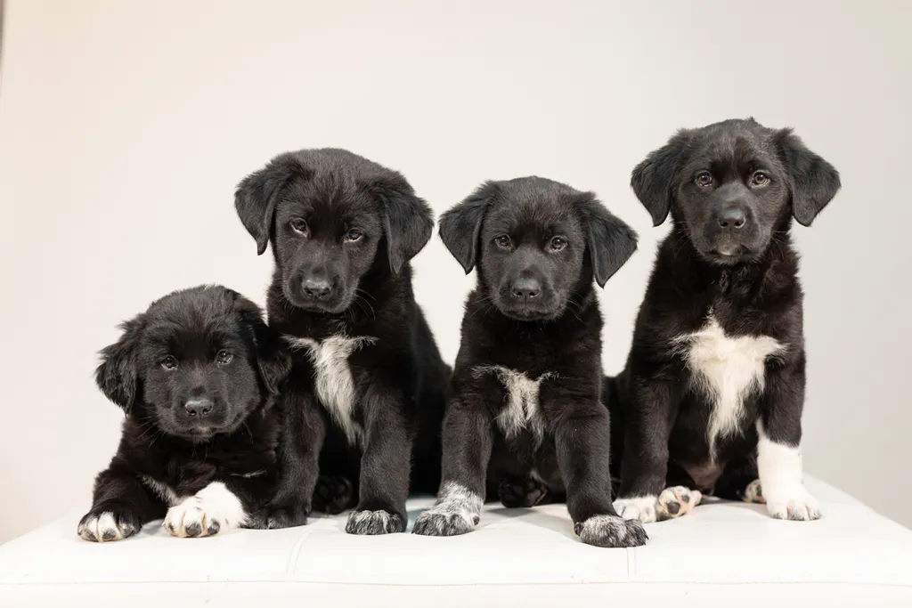 Rescue Photography 2022, photo 10 of 118