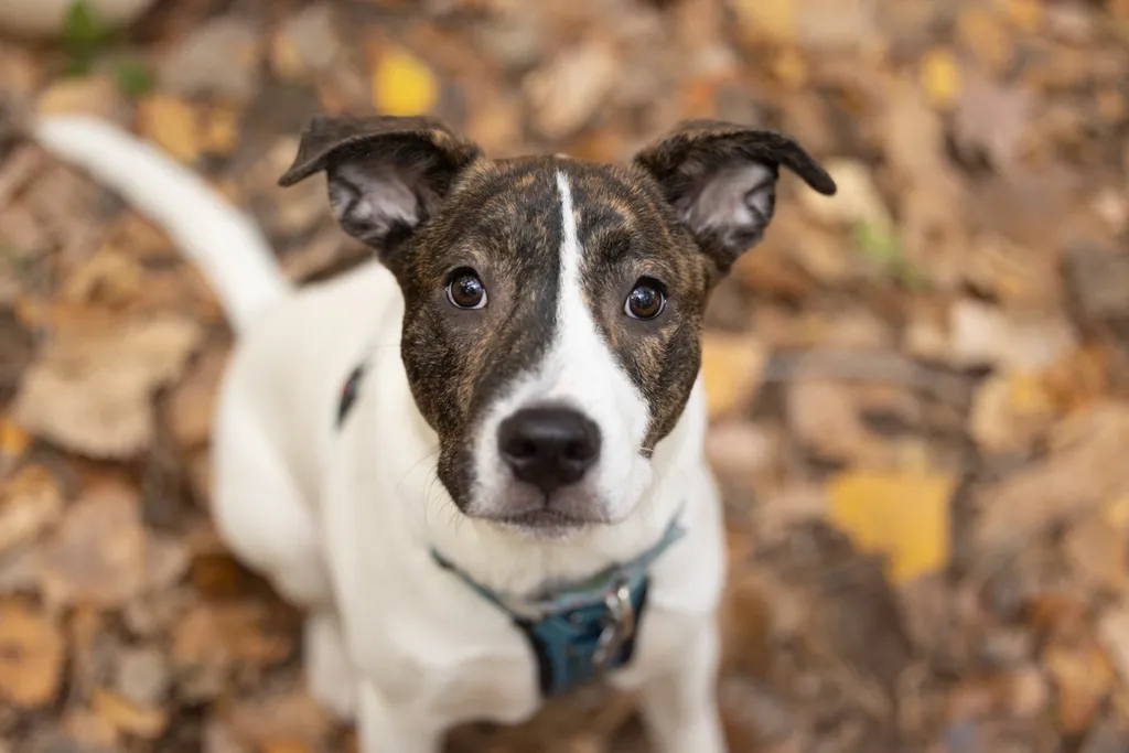 Rescue Photography 2022, photo 108 of 118