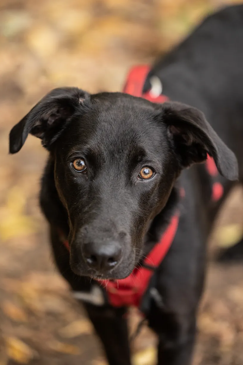 Rescue Photography 2022, photo 109 of 118