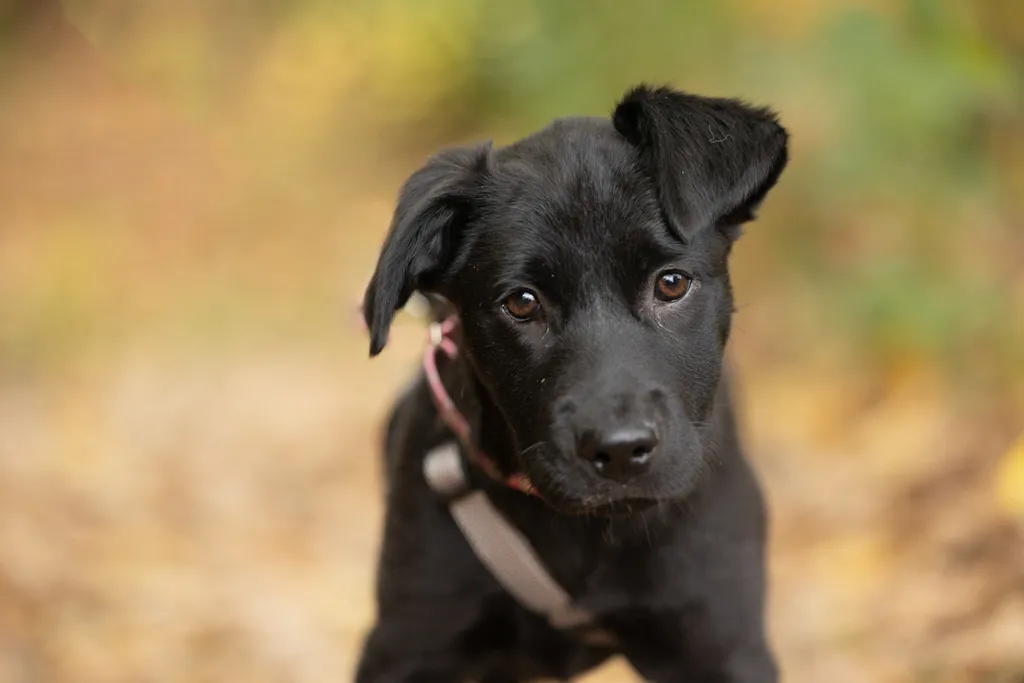 Rescue Photography 2022, photo 112 of 118