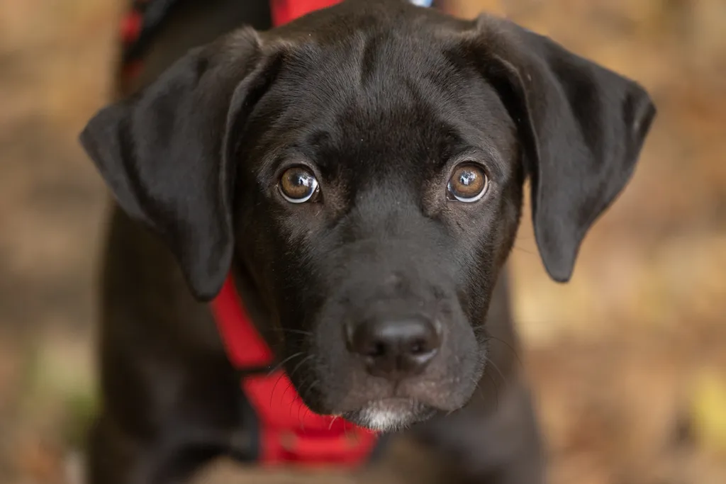 Rescue Photography 2022, photo 113 of 118