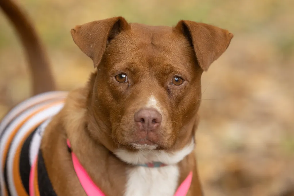 Rescue Photography 2022, photo 115 of 118