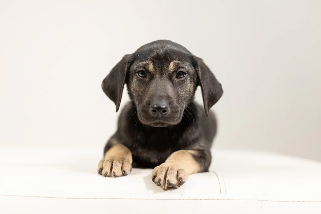 Rescue Photography 2022, photo 11 of 118