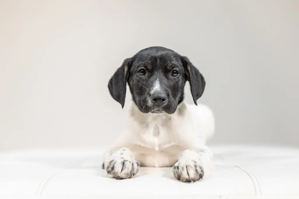 Rescue Photography 2022, photo 13 of 118