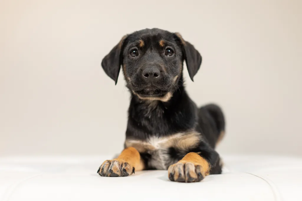 Rescue Photography 2022, photo 14 of 118