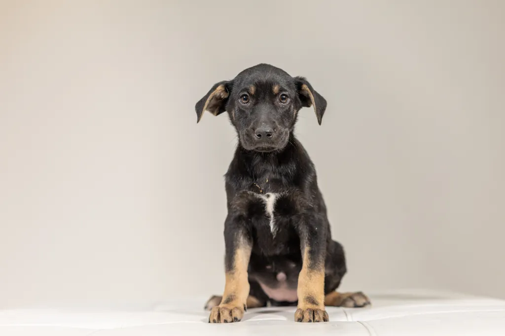 Rescue Photography 2022, photo 16 of 118