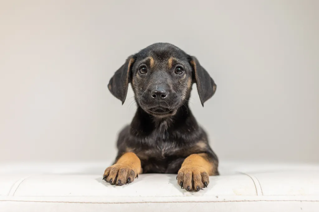 Rescue Photography 2022, photo 17 of 118