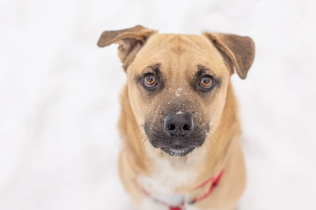 Rescue Photography 2022, photo 18 of 118