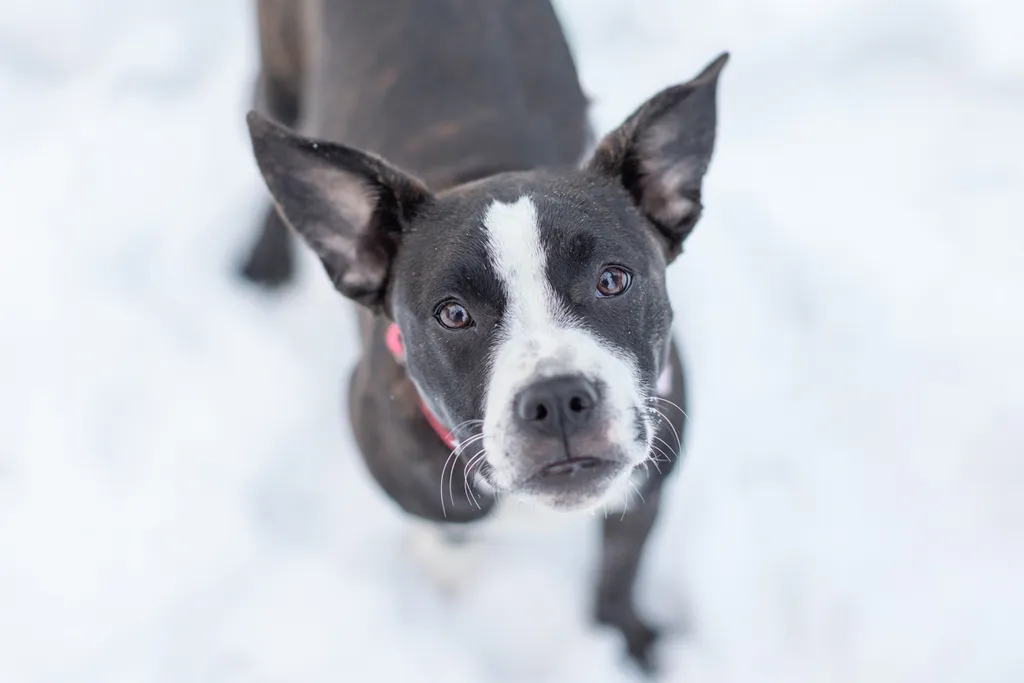 Rescue Photography 2022, photo 1 of 118