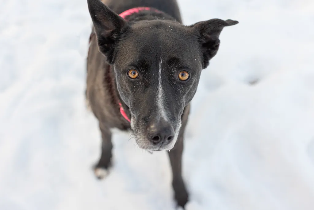 Rescue Photography 2022, photo 20 of 118
