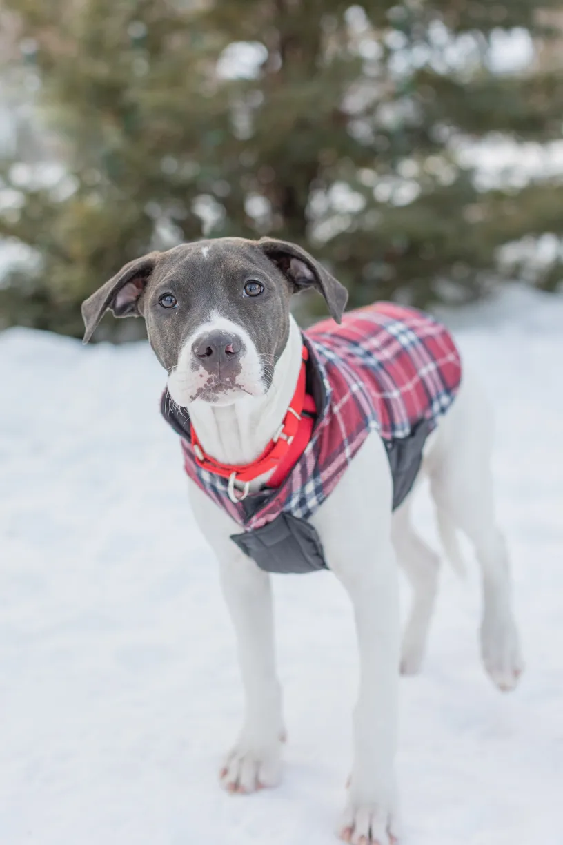Rescue Photography 2022, photo 21 of 118
