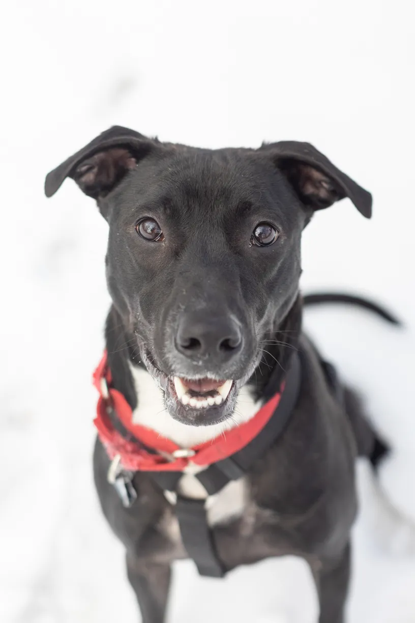 Rescue Photography 2022, photo 22 of 118