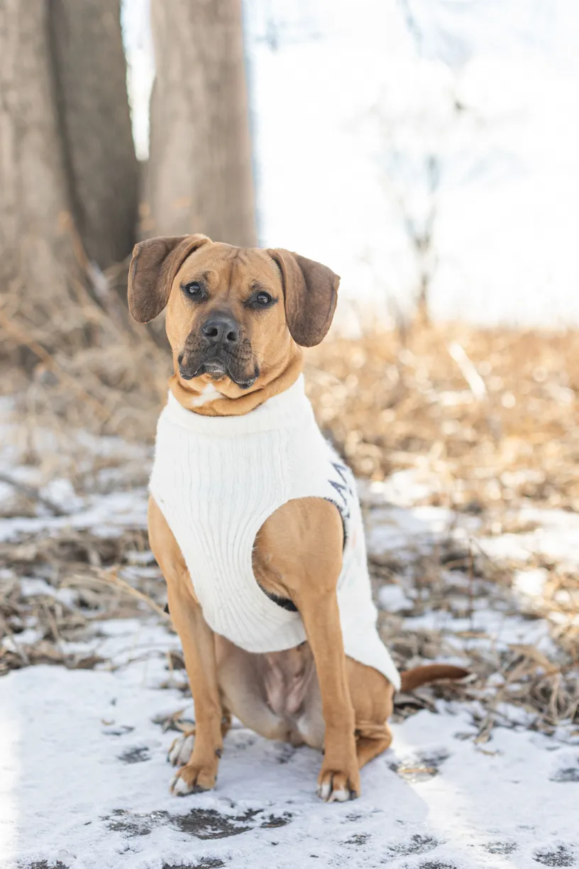 Rescue Photography 2022, photo 23 of 118