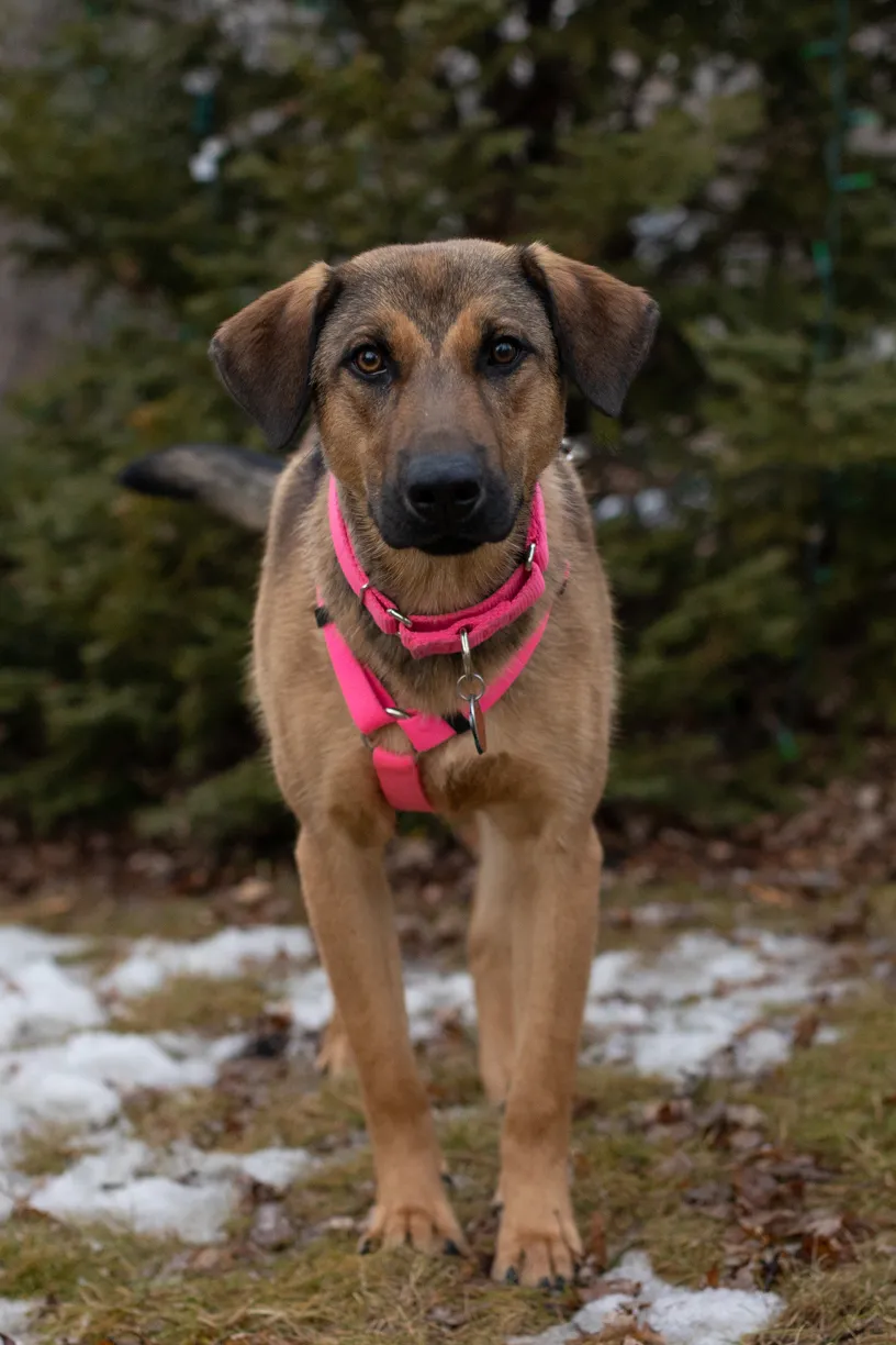 Rescue Photography 2022, photo 24 of 118