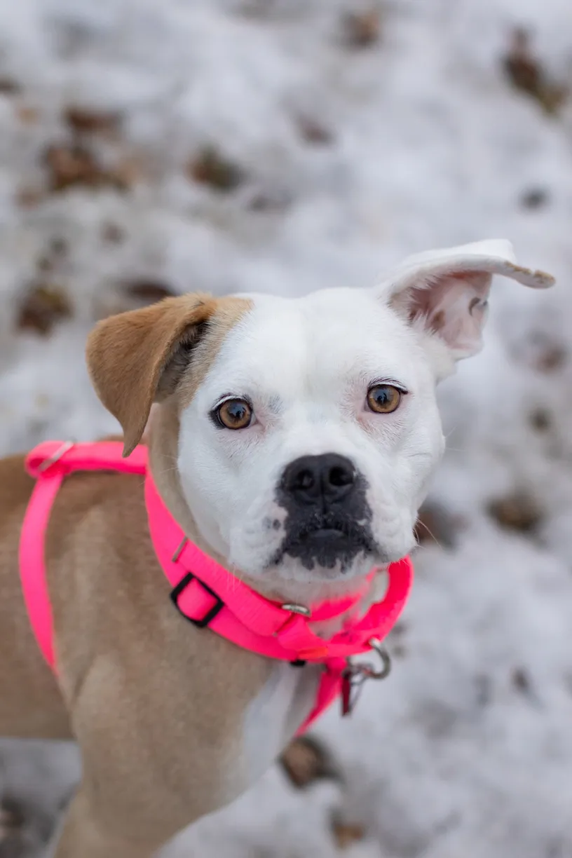 Rescue Photography 2022, photo 55 of 118