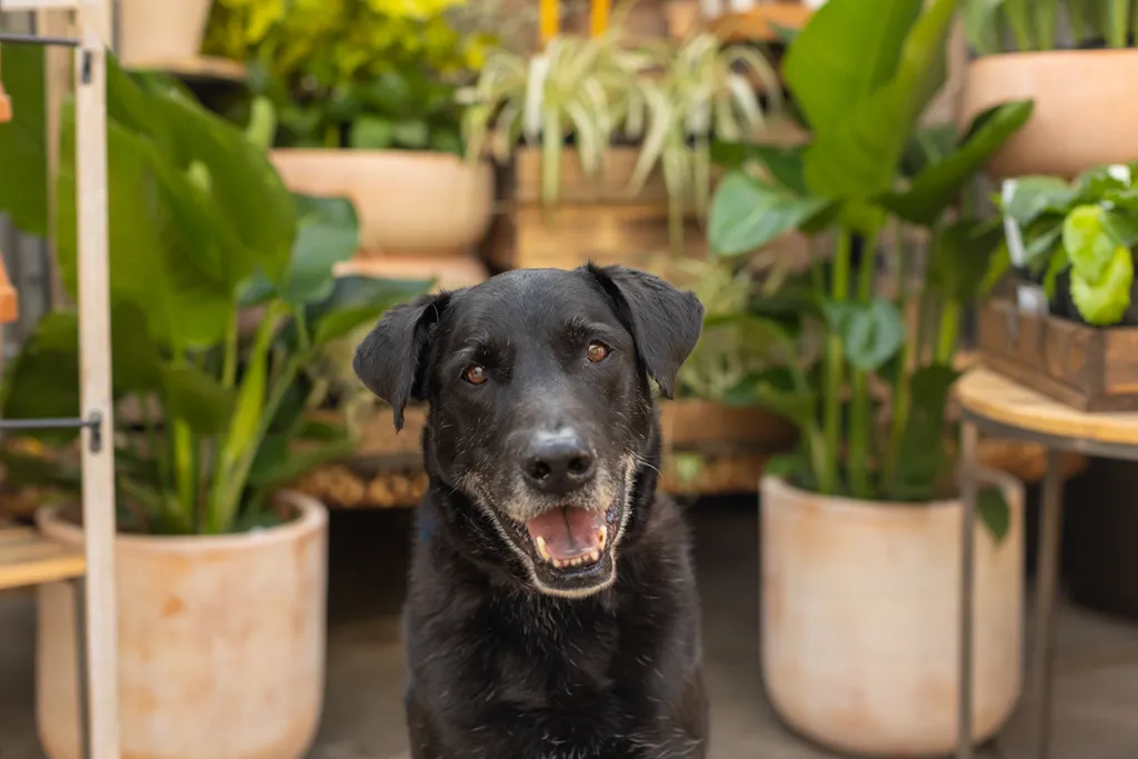 Rescue Photography 2022, photo 34 of 118