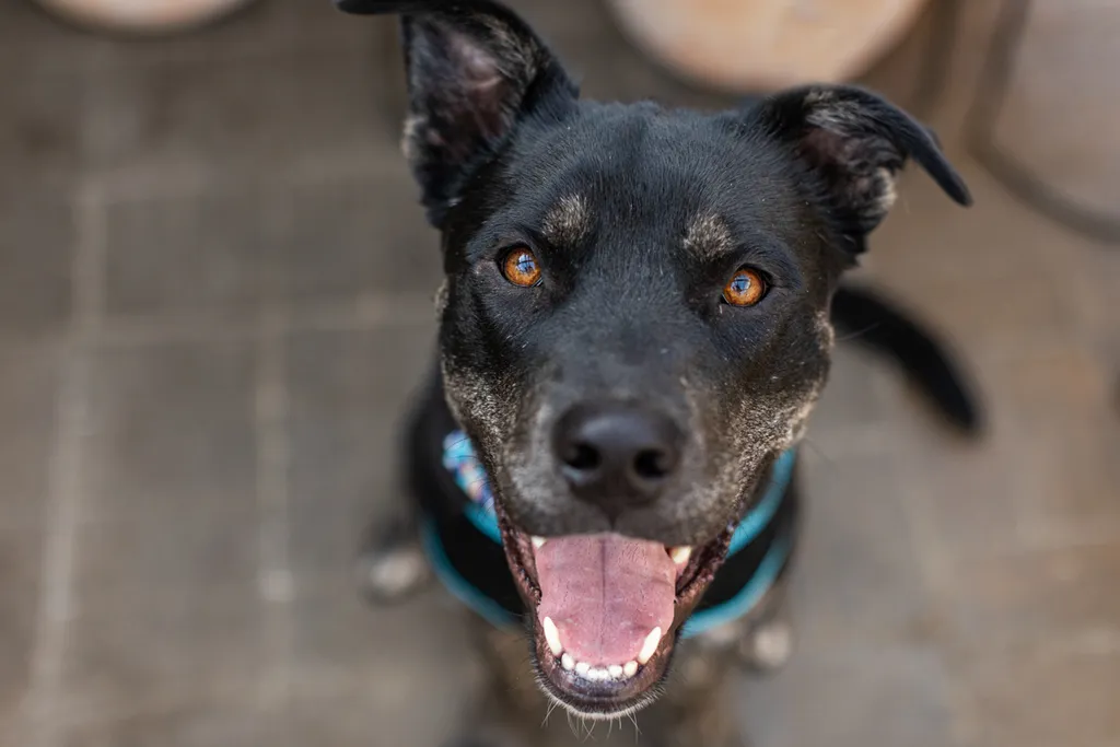 Rescue Photography 2022, photo 40 of 118