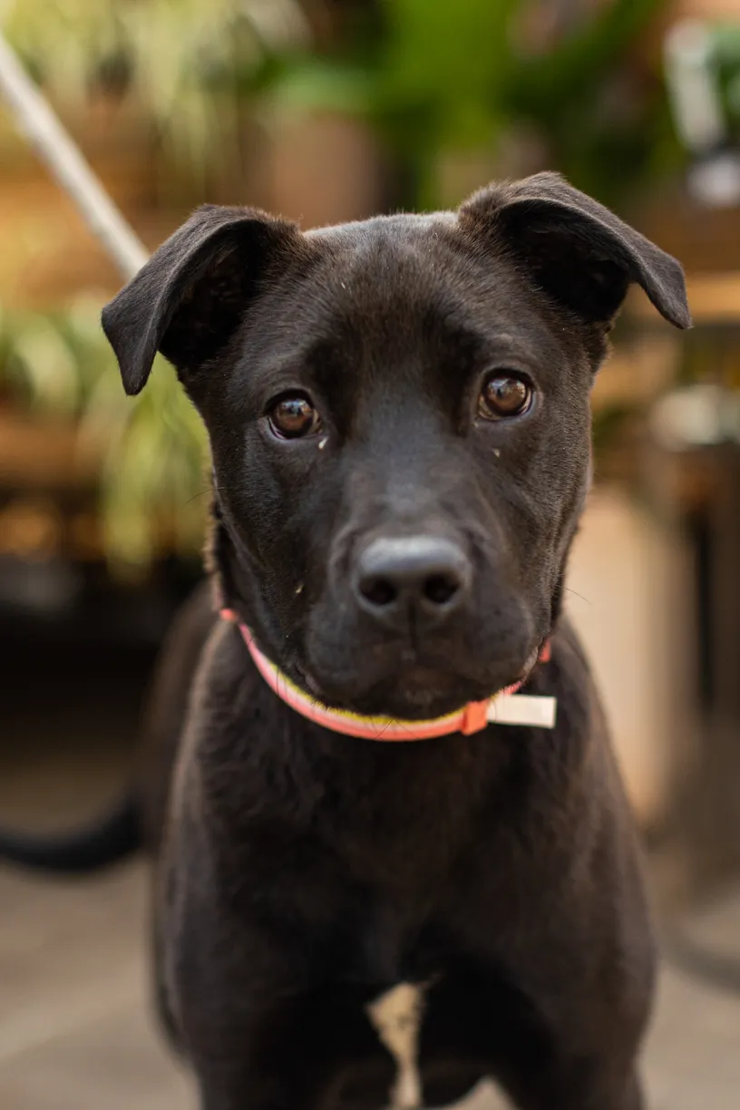 Rescue Photography 2022, photo 36 of 118
