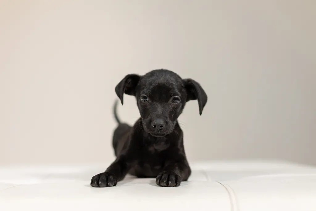 Rescue Photography 2022, photo 3 of 118