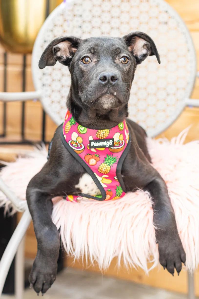 Rescue Photography 2022, photo 42 of 118