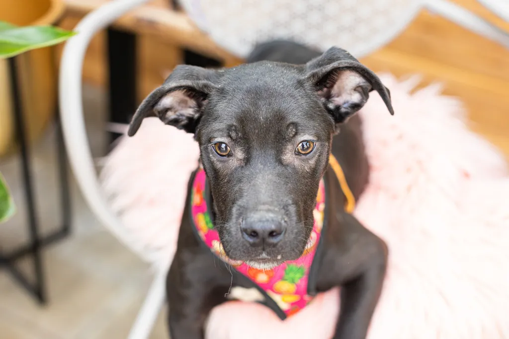 Rescue Photography 2022, photo 44 of 118