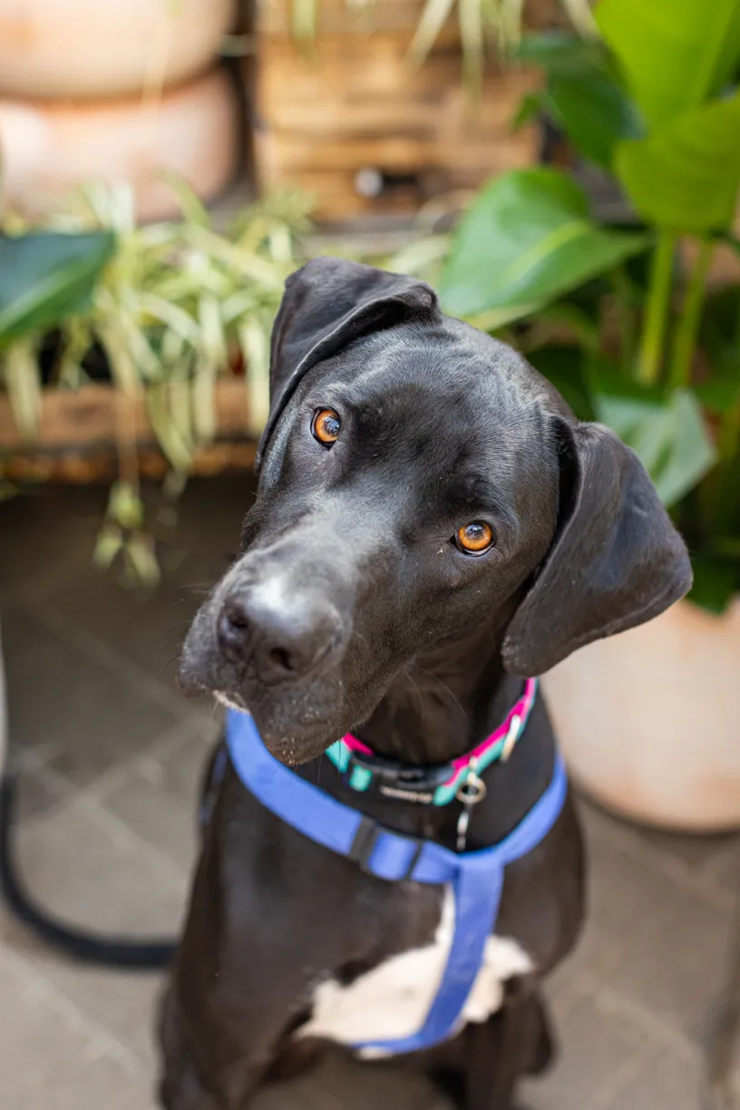 Rescue Photography 2022, photo 45 of 118