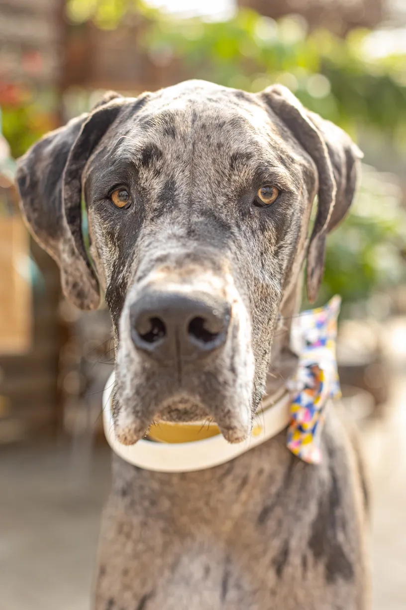 Rescue Photography 2022, photo 46 of 118
