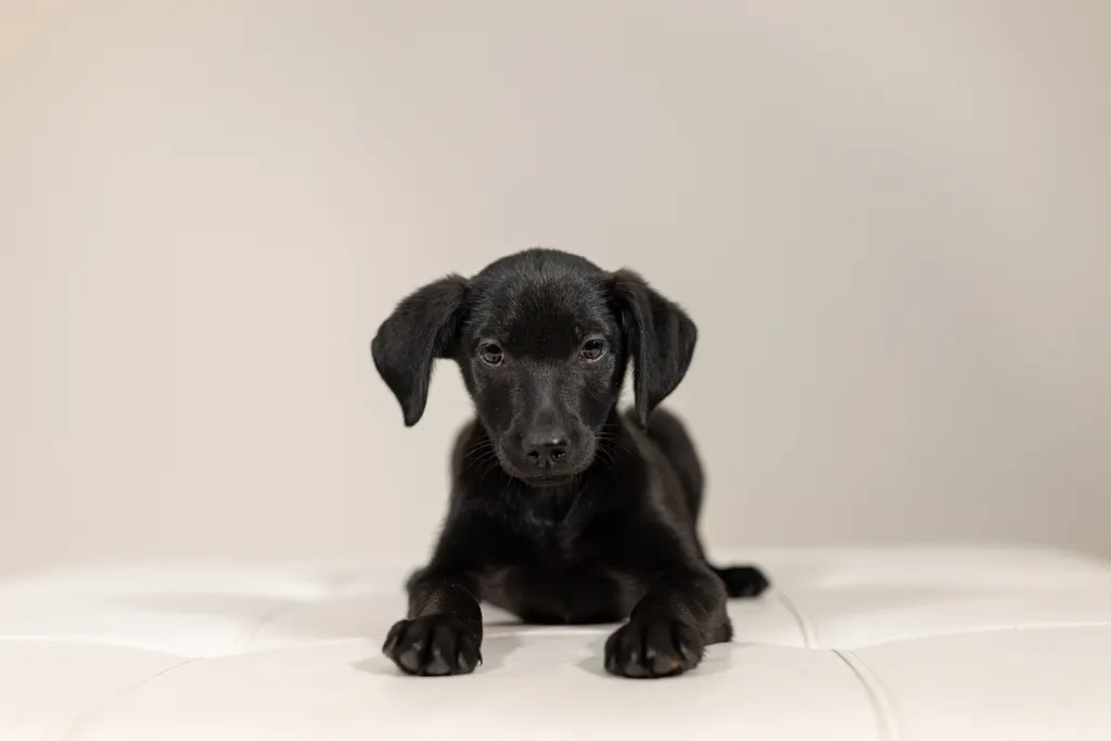Rescue Photography 2022, photo 4 of 118