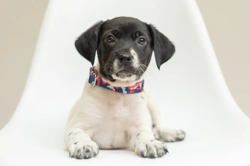 Rescue Photography 2022, photo 52 of 118
